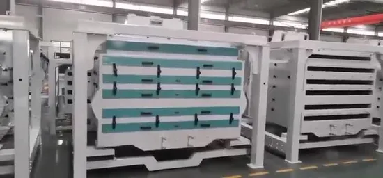 Factory Manufacture Hot Rice Milling Machine Mmjx Rotary Rice Grading Machine Rice Sifter Rice Grader Machine in Egypt