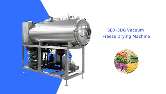 Liofilizador industrial de alimentos al vacío de frutas y verduras de gran capacidad